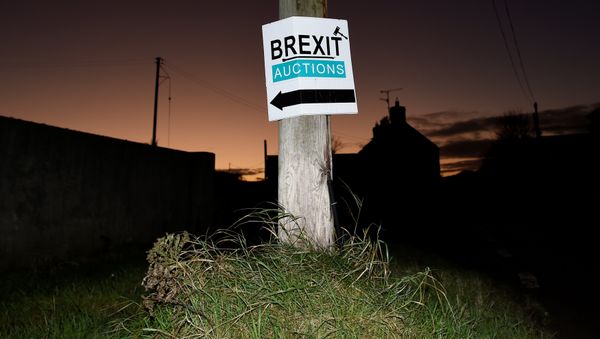 A sign for a Brexit auction is seen at sunset in the border town of Jonesborough, Northern Ireland, November 29, 2017 - Sputnik International