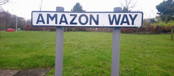 Amazon way Amazon way - Sputnik International