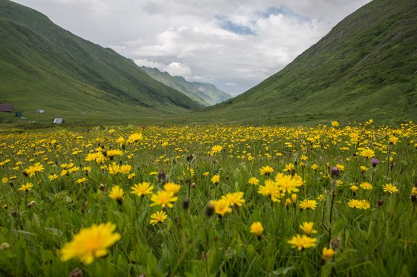 Ten Places to Put on the Bucket-List: Russia’s Most Irresistible Tourist Destinations - Sputnik International