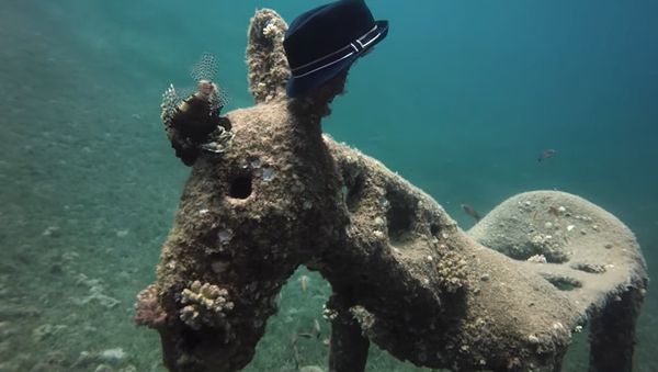 Diver Finds Donkey Statue Wearing Hat - Sputnik International