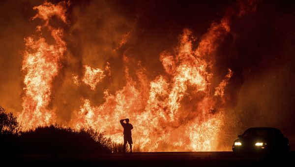 A motorists on Highway 101 watches flames from the Thomas fire leap above the roadway north of Ventura, Calif., on Wednesday, Dec. 6, 2017.  - Sputnik International