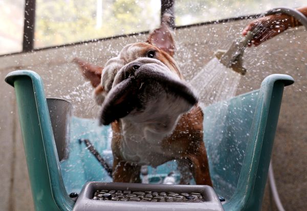 This Week in Pictures (December 2-8) - Sputnik International