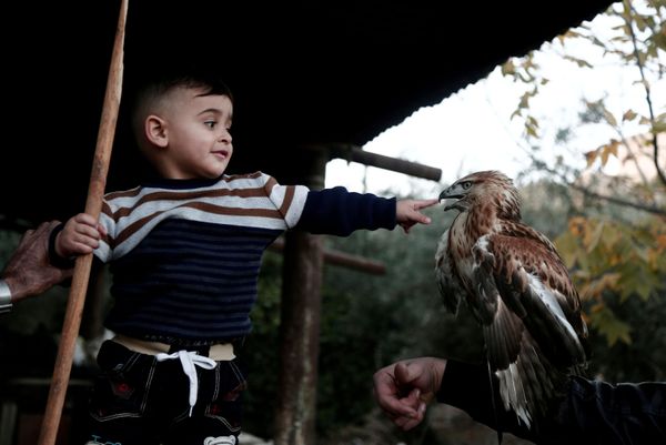 This Week in Pictures (December 2-8) - Sputnik International
