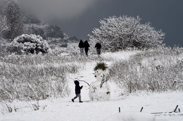 This Week in Pictures (December 2-8) - Sputnik International