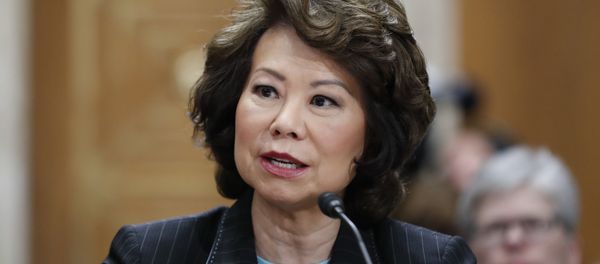 Transportation Secretary Elaine Chao testifies on Capitol Hill in Washington (File) Transportation Secretary Elaine Chao testifies on Capitol Hill in Washington (File) - Sputnik International
