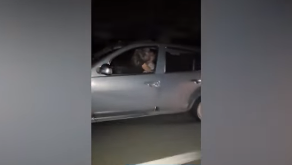 Couple in Argentina caught having sex while driving on highway - Sputnik International