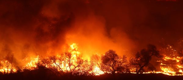 A car drives past a large wall of approaching flames from the Lilac Fire, a fast moving wild fire in Bonsall, California, U.S., December 7, 2017. A car drives past a large wall of approaching flames from the Lilac Fire, a fast moving wild fire in Bonsall, California, U.S., December 7, 2017. - Sputnik International