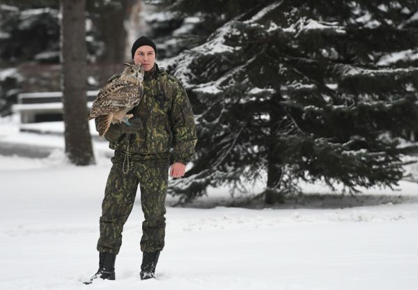 Defending the Kremlin: Hawks, Falcons and Owls in Service - Sputnik International