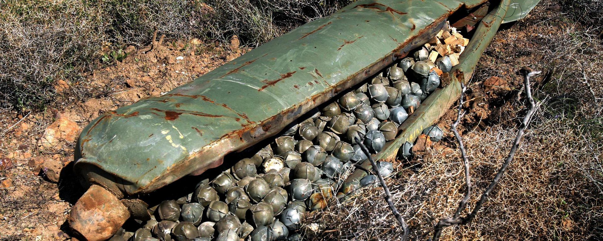 A cluster bomb  - Sputnik International, 1920, 18.07.2023