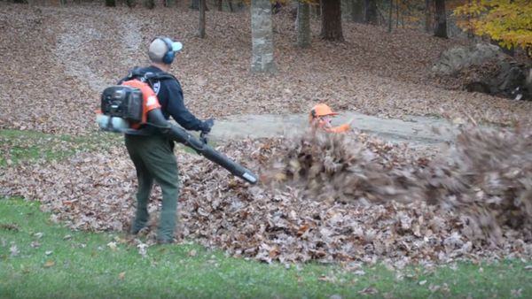 Dad gets scary surprise from kids while blowing leaves Dad gets scary surprise from kids while blowing leaves - Sputnik International