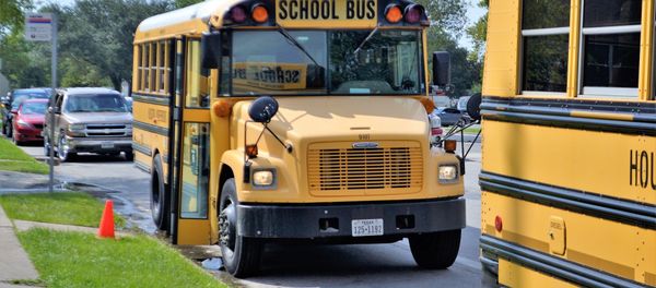 School bus School bus - Sputnik International