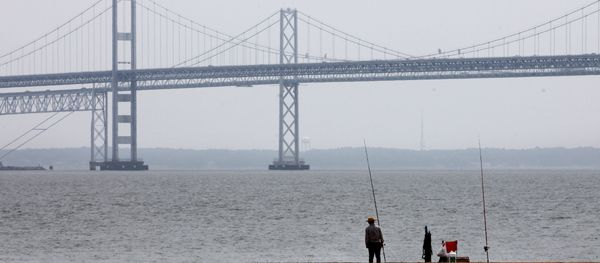 A man looks out over the Chesapeake Bay, with the Bay Bridge in the background, at Sandy Point State Park in Annapolis, Md., on Wednesday, May 12, 2010. A man looks out over the Chesapeake Bay, with the Bay Bridge in the background, at Sandy Point State Park in Annapolis, Md., on Wednesday, May 12, 2010. - Sputnik International