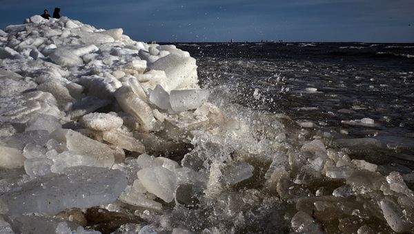 Shore of the Gulf of Finland. File photo - Sputnik International