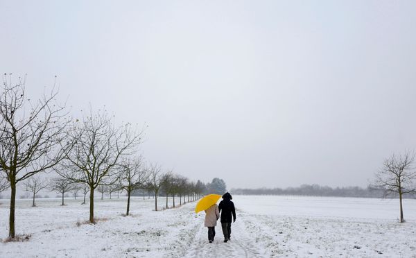 It's the Most Wonderful Time of the Year! Winter Fun Across the Globe - Sputnik International