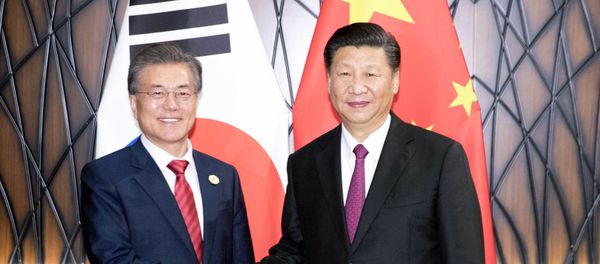 In this Nov. 11, 2017, photo released by China's Xinhua News Agency, South Korean President Moon Jae-in, left, and Chinese President Xi Jinping shake hands as they pose for a photo during a meeting on the sidelines of the Asia-Pacific Economic Cooperation (APEC) Forum in Danang, Vietnam. - Sputnik International