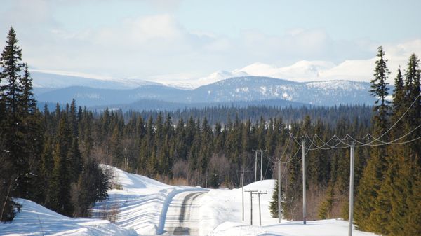Winter road - Sputnik International