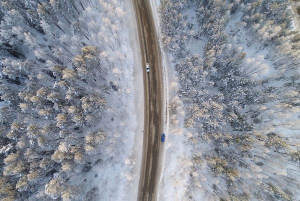 This Week in Pictures (December 9-15) This Week in Pictures (December 9-15) - Sputnik International