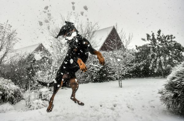This Week in Pictures (December 9-15) This Week in Pictures (December 9-15) - Sputnik International