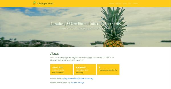 Pineapple Fund - Sputnik International