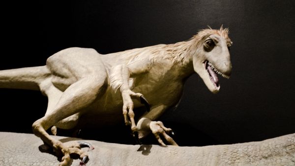 Deinonychus - Sputnik International
