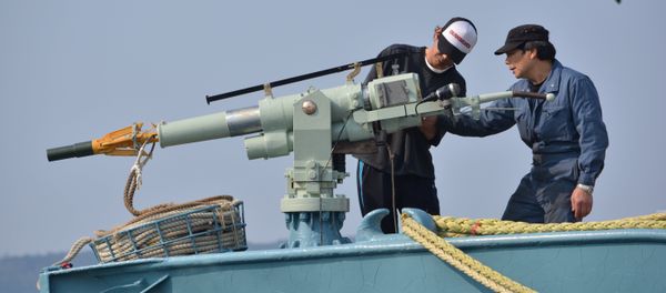 Crew of a whaling ship check a whaling gun or harpoon before departure at Ayukawa port in Ishinomaki City (File) Crew of a whaling ship check a whaling gun or harpoon before departure at Ayukawa port in Ishinomaki City (File) - Sputnik International