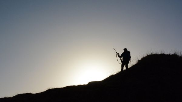 Silhouette of a hunter - Sputnik International