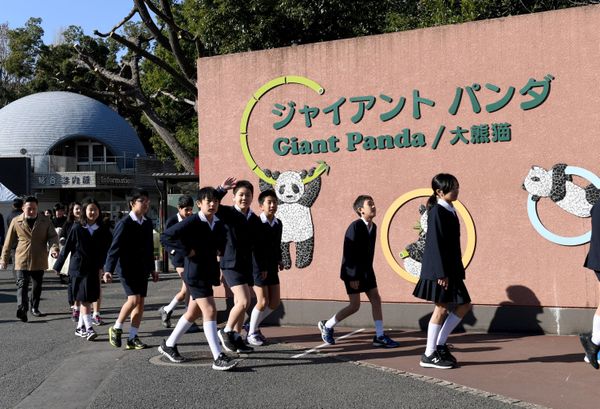 Japan's Sweet Baby Panda Makes Public Debut - Sputnik International