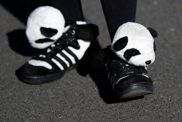 Japan's Sweet Baby Panda Makes Public Debut - Sputnik International