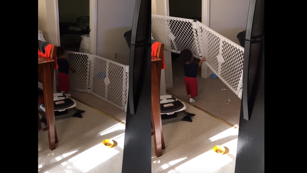 Innovative Toddler Beats Baby Gate - Sputnik International