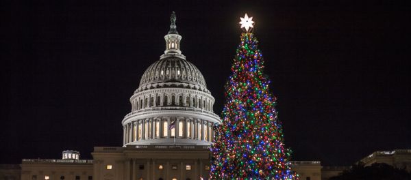 The Capitol Christmas tree is illuminated as lawmakers in the Senate work late into the evening on the Republican tax bill, in Washington, Tuesday, Dec. 19, 2017 The Capitol Christmas tree is illuminated as lawmakers in the Senate work late into the evening on the Republican tax bill, in Washington, Tuesday, Dec. 19, 2017 - Sputnik International