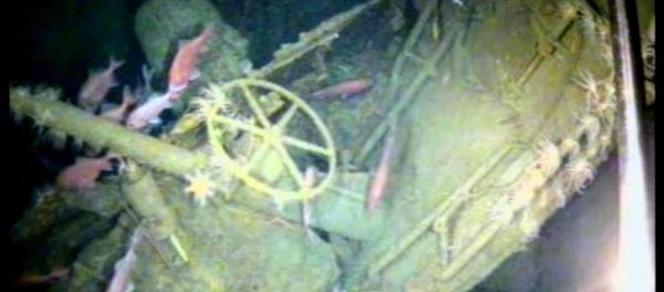 In this undated image provided by the Australian Department of Defense, fish swim around the helm of the Australian submarine HMAS AE1 off the coast of the Papua New Guinea island of New Britain - Sputnik International