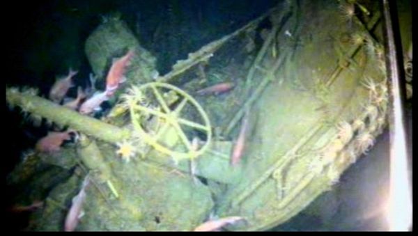 In this undated image provided by the Australian Department of Defense, fish swim around the helm of the Australian submarine HMAS AE1 off the coast of the Papua New Guinea island of New Britain - Sputnik International