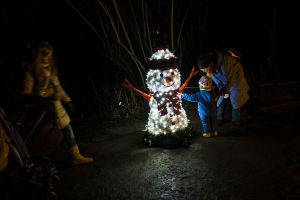 A toddler touches a snowman made of lights at the Christmas Garden light show, in Berlin's botanical garden - Sputnik International