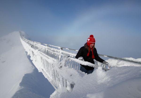 This Week in Pictures (December 16-22) - Sputnik International