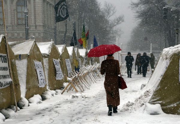 This Week in Pictures (December 16-22) - Sputnik International