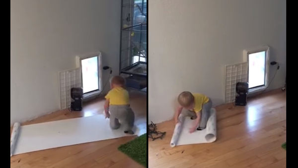 Wrap Trap: Toddler’s Holiday Hassle - Sputnik International