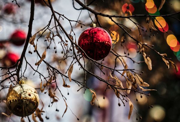 The Holidays Are Coming! Christmas Lights in Moscow - Sputnik International