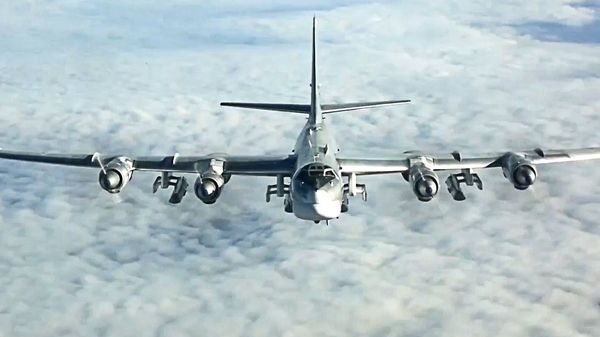 A Tupolev Tu-95MS Bear strategic bomber. - Sputnik International