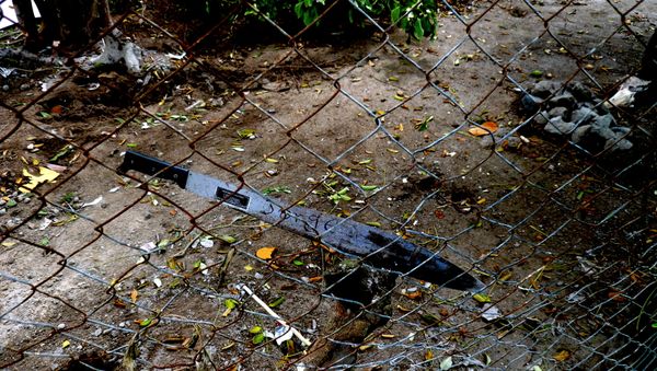 Jorge's Machete Jorge's Machete - Sputnik International