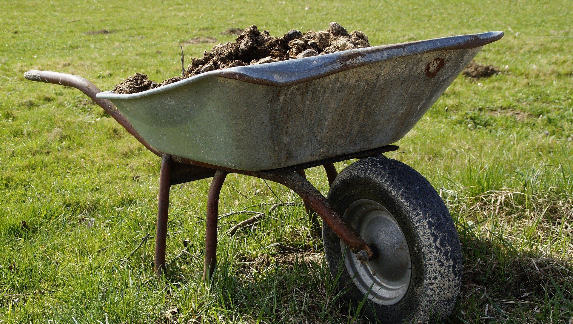 Manure Manure - Sputnik International, 1920, 30.04.2021