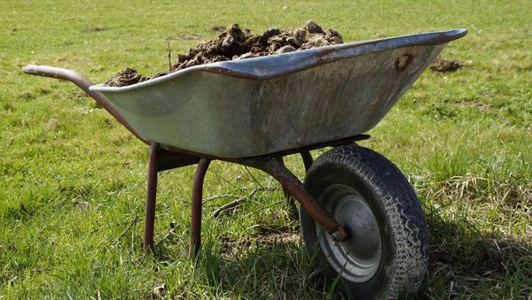 Manure - Sputnik International