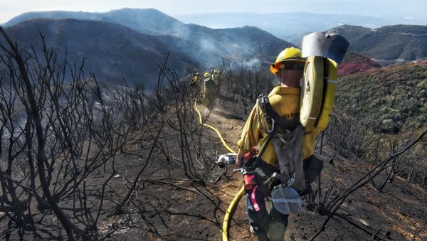 In this photo provided by the Santa Barbara County Fire Department, Santa Barbara County Firefighters haul dozens of pounds of hose and equipment down steep terrain below E. Camino Cielo to root out and extinguish smoldering hot spots in Santa Barbara, Calif., Tuesday, Dec. 19, 2017. Officials estimate that the Thomas Fire will grow to become the biggest in California history before full containment, expected by Jan. 7, 2018. - Sputnik International