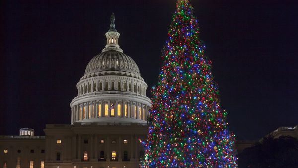 The Capitol Christmas tree is illuminated as lawmakers in the Senate work late into the evening on the Republican tax bill, in Washington, Tuesday, Dec. 19, 2017. - Sputnik International