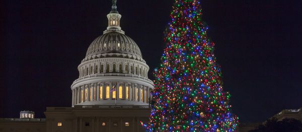 The Capitol Christmas tree is illuminated as lawmakers in the Senate work late into the evening on the Republican tax bill, in Washington, Tuesday, Dec. 19, 2017. The Capitol Christmas tree is illuminated as lawmakers in the Senate work late into the evening on the Republican tax bill, in Washington, Tuesday, Dec. 19, 2017. - Sputnik International