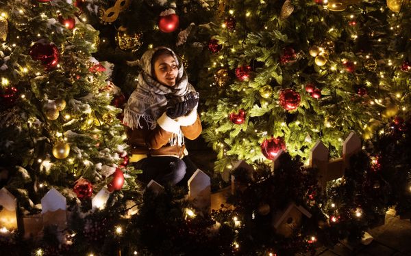 This Week in Pictures (December 23-29) - Sputnik International