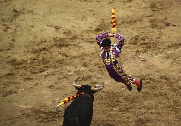 This Week in Pictures (December 23-29) - Sputnik International
