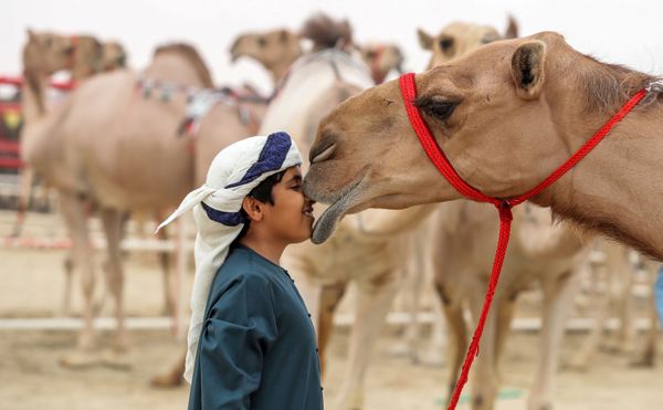 This Week in Pictures (December 23-29) - Sputnik International