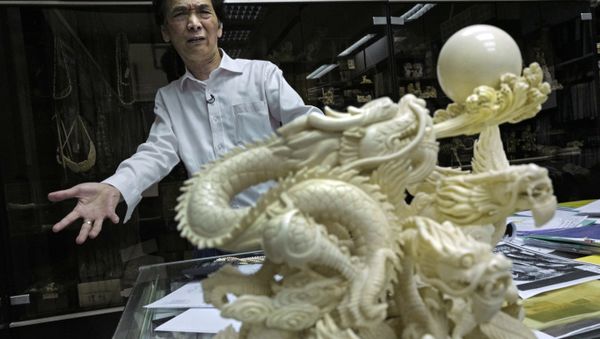 of Lise Carving and Jewellery gestures during an interview at his workshop in Hong Kong. Chan complains that department stores stopped selling his ivory on consignment after protests by conservation groups. He denies the ivory industry is responsible for elephant deaths in Africa, despite clear evidence that poaching is the main factor. - Sputnik International