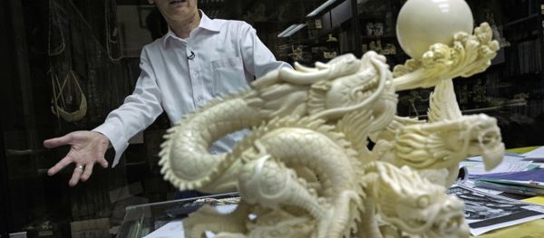 of Lise Carving and Jewellery gestures during an interview at his workshop in Hong Kong. Chan complains that department stores stopped selling his ivory on consignment after protests by conservation groups. He denies the ivory industry is responsible for elephant deaths in Africa, despite clear evidence that poaching is the main factor. of Lise Carving and Jewellery gestures during an interview at his workshop in Hong Kong. Chan complains that department stores stopped selling his ivory on consignment after protests by conservation groups. He denies the ivory industry is responsible for elephant deaths in Africa, despite clear evidence that poaching is the main factor. - Sputnik International