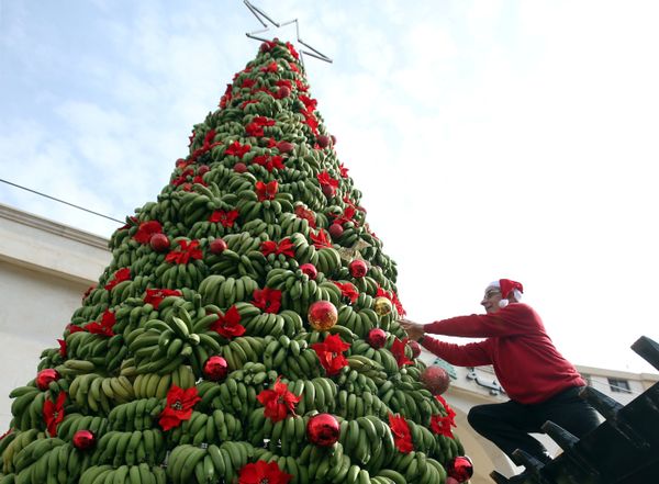 The New Year is Here! Christmas Trees Around the World The New Year is Here! Christmas Trees Around the World - Sputnik International